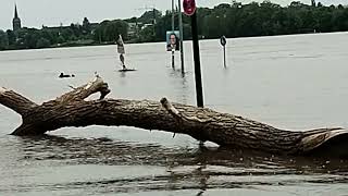 Hochwasser in Mondorf [upl. by Klein]