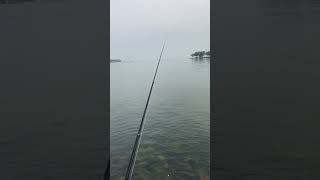 ceritanya mancing lagi di pantai marina part 1 vlog fishing beach shorts [upl. by Trevorr]