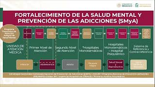 6 Salud mental y adicciones en el primer nivel de atención [upl. by Anerev]