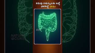 కడుపు సమస్యలను ఇట్టే పోగొట్టే వాము  Vamu Ajwain water Water Health Benefits  Nature Cure [upl. by Aleakcim]