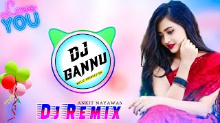 Dj Remix Meena Song 2023  harisingh Dholan new meena geet 2023  Dj remix song [upl. by Most]