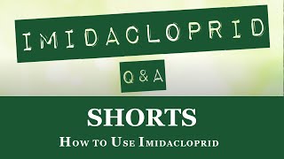 Quick Overview on How to Use Imidacloprid shorts [upl. by Millan365]