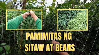 PAMIMITAS NG STIAW AT BEANS [upl. by Jeramie]