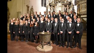 Brahms Waldesnacht  LandesJugendchor Schleswig Holstein [upl. by Wennerholn]