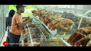 Poultry farming with modern facilities Furnished cage [upl. by Nicholas]