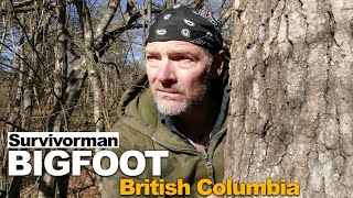 Survivorman Bigfoot  Episode 2  British Columbia  Les Stroud  Todd Standing [upl. by Haleemak]