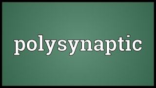 Polysynaptic Meaning [upl. by Aivekahs513]