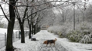 Prognozy na zimę 20242025 Co nas czeka Spore zmiany w warunkach pogodowych [upl. by Cower]