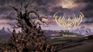 Vulvodynia  Imbawula Official Stream [upl. by Sorkin351]