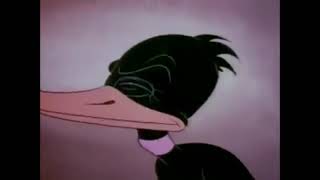 Daffy Duck  The Henpecked Duck  1941 Classic Cartoon  Loony Tunes  In Color [upl. by Efrem]