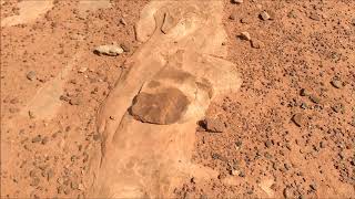 The Moenkopi Dinosaur Tracks near Tuba City AZ United States [upl. by Tormoria]