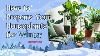 Will Your houseplants Survive Winter [upl. by Carine]