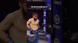 Top 5 Knockouts mma ufc fighting mmafighter knockout mmanews boxing fightsport fast punch [upl. by Abad778]