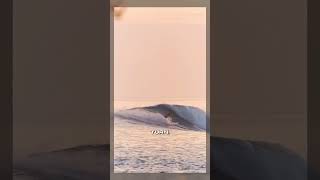 Surf tip How to ride a bigger board with Torren Martyn [upl. by Roselia]