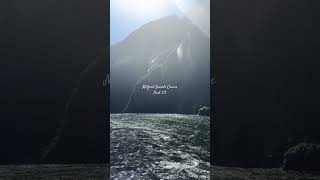 Milford Sounds Cruise  part 23 aesthetic travelling newzealand holiday sub 🤍🤍🤍 [upl. by Karlen]