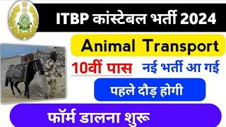 ITBP constable animal Transport new vacancy 2024  10th pass  ITBP animal Transport bharti 2024 [upl. by Enaitsirk]