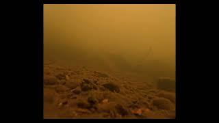 Captivating Underwater Footage  Manchester Rivers Hidden Beauty [upl. by Doroteya]