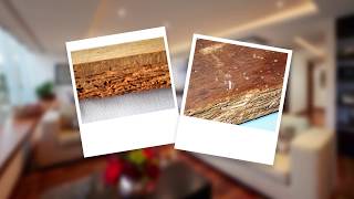 How to Get Rid of Borer and Protect Wood from Borer Damage [upl. by Lehsar]