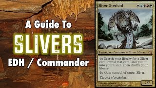 MTG  A Study In Slivers  A Guide To EDH  Commander Sliver Decks in Magic The Gathering [upl. by Huesman]