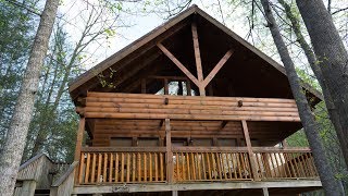 Honey Bear Cabin  Sevierville Tennessee Review [upl. by Hannis]