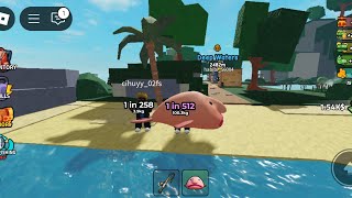 Mabar Go Fishing Roblox [upl. by Wendt]