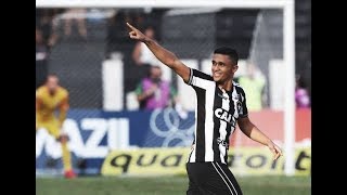 Erik  Gols e Lances  2018 HD BOTAFOGO [upl. by Glori]