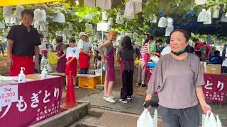 上野毛 夏の風物詩 田中ぶどう園 ぶどう狩り 世田谷区 上野毛 2023年8月19日 [upl. by Garland]