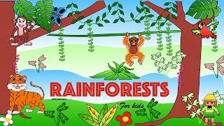 Tropical rainforests for Kids  Facts and Quiz [upl. by Luhem391]