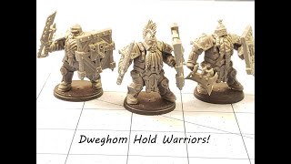 Conquest Dweghom Hold Warriors unboxed and built [upl. by Navnod605]