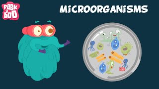 Microorganisms  The Dr Binocs Show  Educational Videos For Kids [upl. by Siuoleoj]