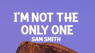 Sam Smith  Im Not The Only One Lyrics [upl. by Yerffej]