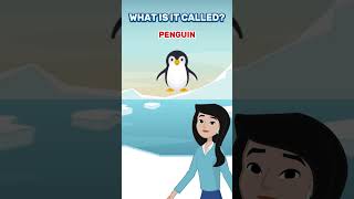 Cold Climate Animals ❄️ Vocabulary shorts english vocabulary animation animals arctic [upl. by Aivul]