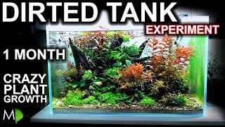 INSANE Dirted Tank After 1 MONTH crazy plant growth with NO co2  MD Fish Tanks [upl. by Thury666]