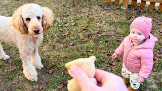 Dog Vs Adorable Baby Girl Playing Fetch Surprise Winner [upl. by Leizahaj]