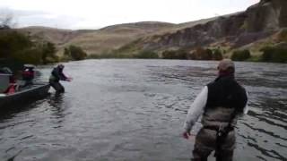 Deschutes River Steelhead Mouth 2009 [upl. by Akcira41]