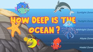 How Deep Is The Ocean  Sea Fishes amp Animals  Sea zones  For Kids [upl. by Stanfield475]