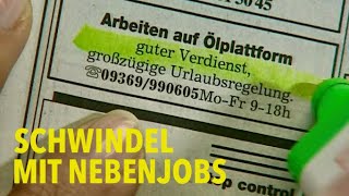 Dubiose Geschäfte mit Nebenjobs [upl. by Airamasor]