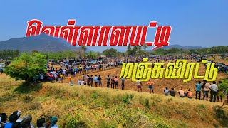 வெள்ளாளபட்டி மஞ்சுவிரட்டு 2024  Vellalapatti Manjuvirattu 2024  Local Media [upl. by Gardie21]