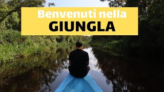 3 GIORNI nella GIUNGLA a Borneo  Indonesia [upl. by Venita]