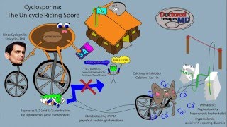 Cyclosporine [upl. by Chessa]