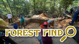 Forest Find in Vernon Parish [upl. by Allevon]