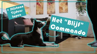 Het blijf commando aanleren [upl. by Etnahsal135]