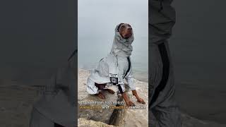 FunnyFuzzy Reflective Allweather Waterproof Dog Rain Coat [upl. by Champaigne]