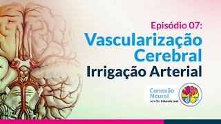 VASCULARIZAÇÃO CEREBRAL IRRIGAÇÃO ARTERIAL [upl. by Hinkel]