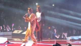 What Does the Fox SayYlvis live [upl. by Araid]