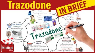 Trazodone  Desyrel  What is Trazodone Used For Dosage Side Effects amp Precautions [upl. by Alexi210]