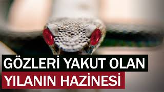 GÖZLERİ YAKUT OLAN YILANIN HAZİNESİ ibretlik hikayeler sesli kitap dini hikayeler hüseyin duru [upl. by Lenoil]