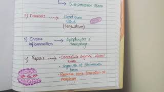 Acute Osteomyelitis And Chronic Osteomyelitis  Pathology [upl. by Agni541]