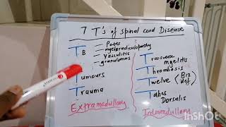 Mnemonic 14  Spinal Cord lesions [upl. by Akinej295]