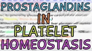 How are Prostaglandins involved in Platelet Homeostasis [upl. by Anawait467]